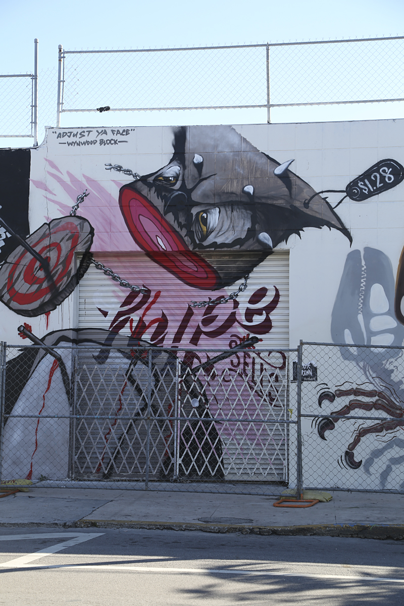 Paint the Walls: Inside the Wynwood Street Art Scene | Miami New Times